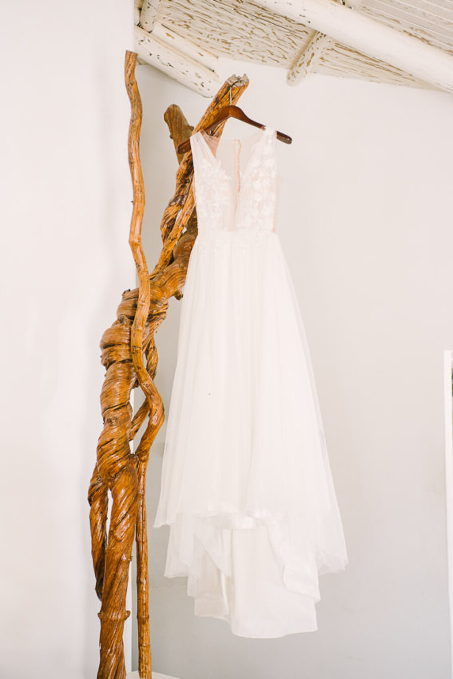 Descripción de la imagen 6